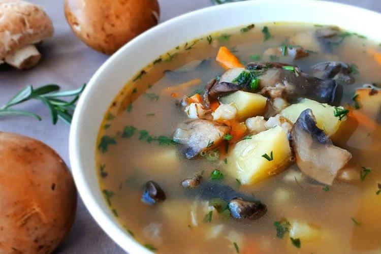 Soupe de champignons à l'orge et à la crème sure
