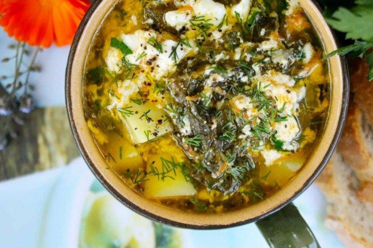 Soupe d'oseille classique avec oeuf et poulet