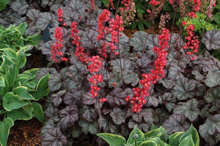 Engrais et alimentation