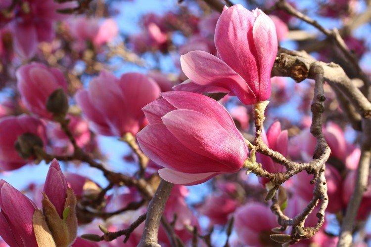 informations générales