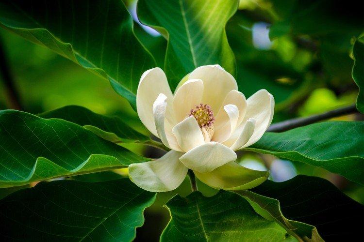 Engrais et alimentation