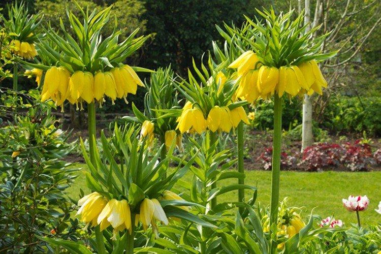 Engrais et alimentation