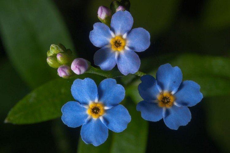 Engrais et alimentation