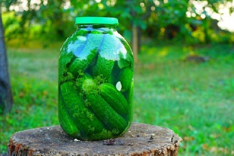 Concombres salés rapides dans un bocal