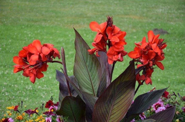 Engrais et alimentation