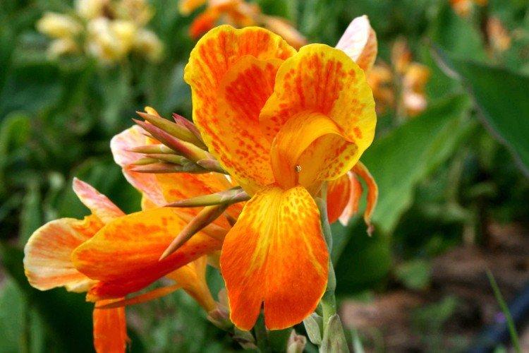 Hivernage et stockage