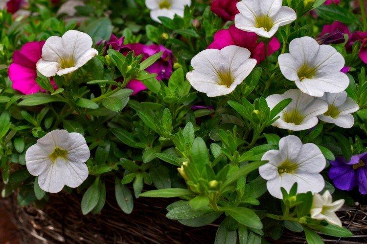 informations générales