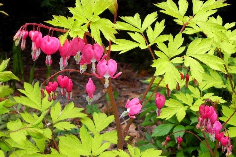 informations générales