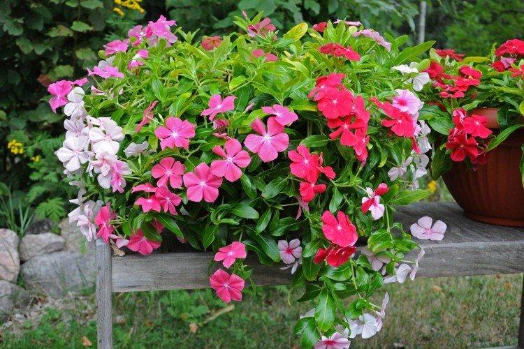 informations générales