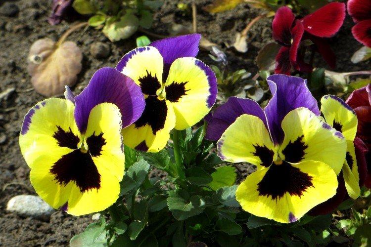 informations générales