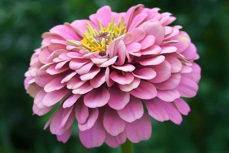 informations générales