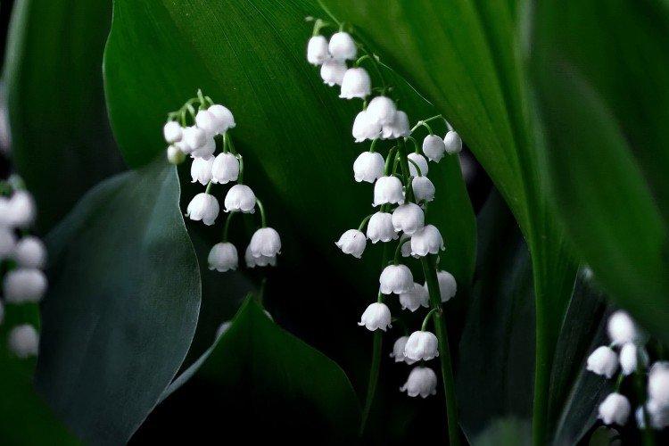 informations générales