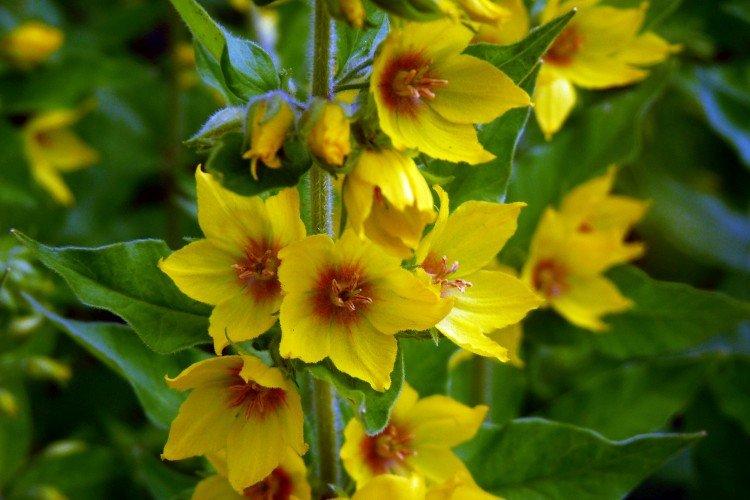 informations générales