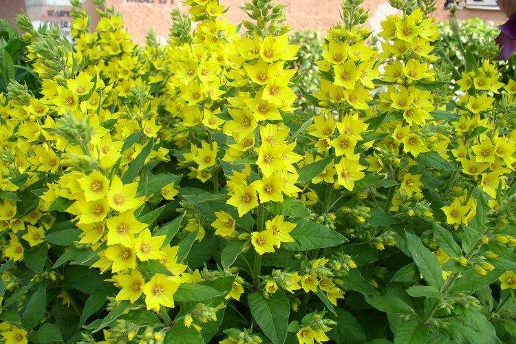 Engrais et alimentation