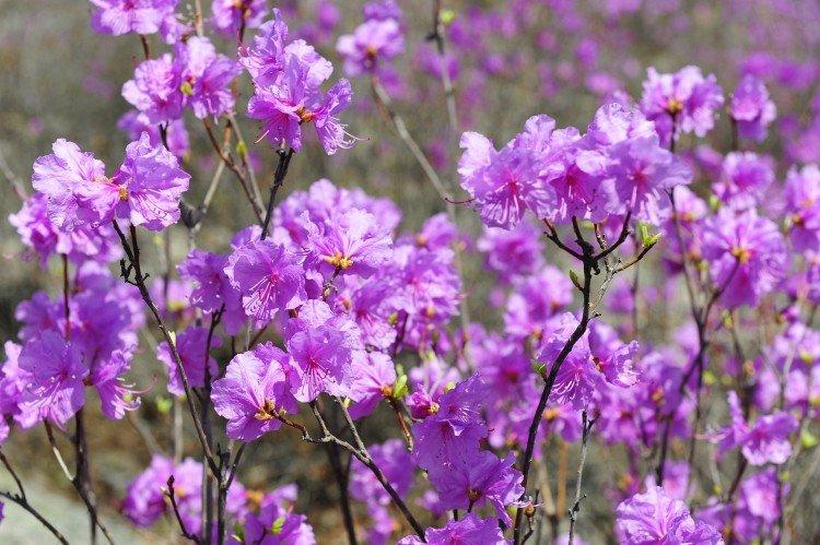 Engrais et alimentation