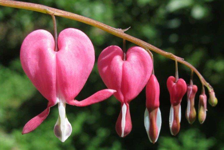 informations générales