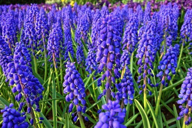 informations générales