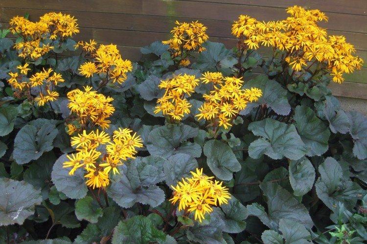 informations générales