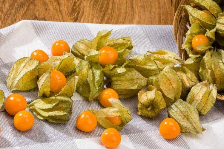 Physalis - photo