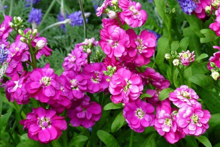 informations générales