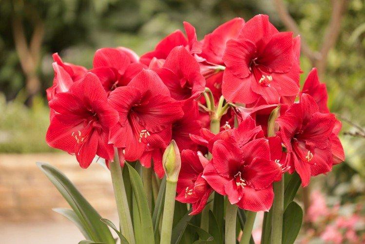 Engrais et alimentation