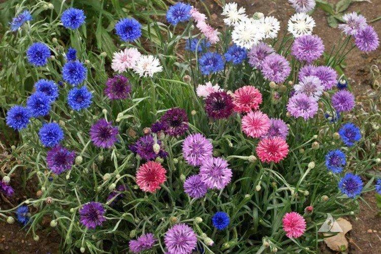 Température et éclairage