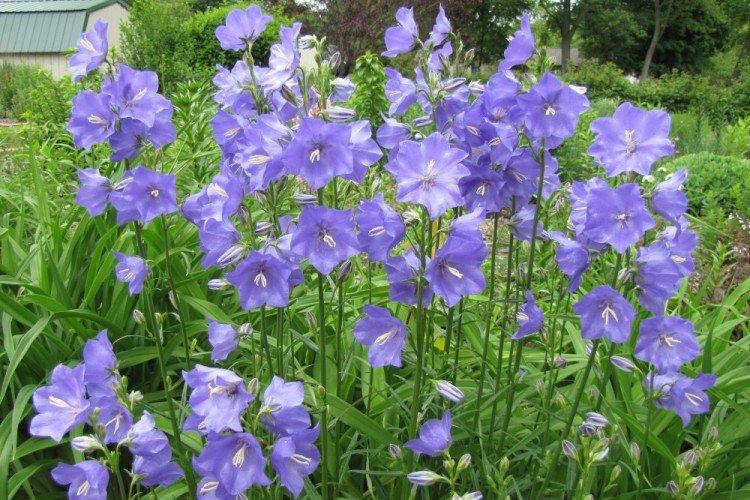 Température et éclairage