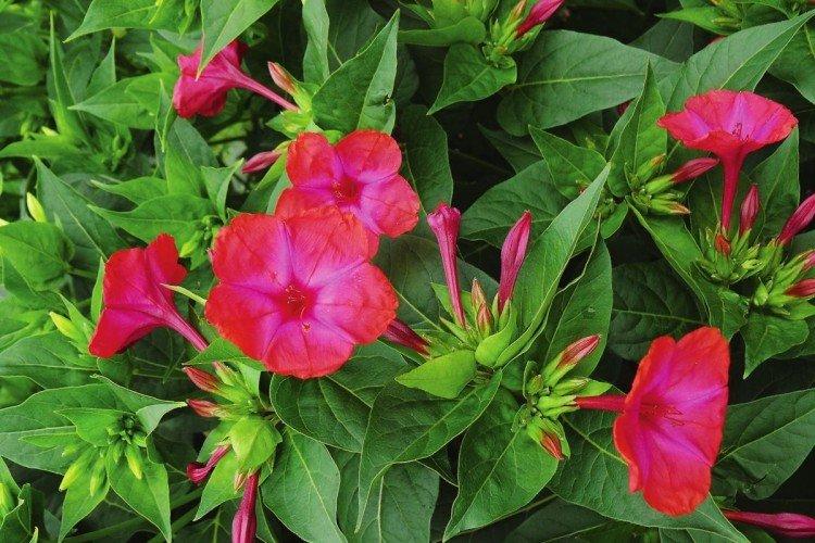 informations générales