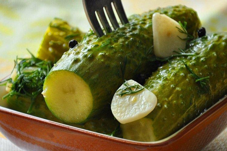 Concombres légèrement salés avec du pain dans un sac