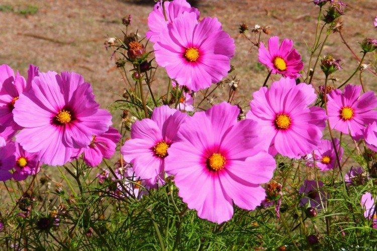 Température et éclairage