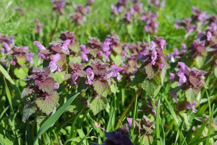 informations générales