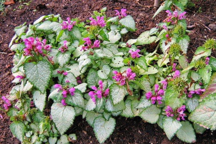 Température et éclairage