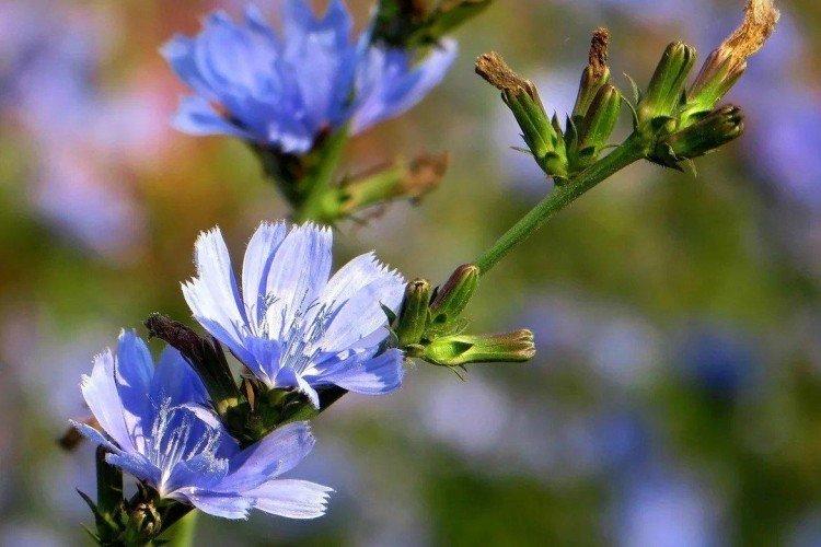 Engrais et alimentation