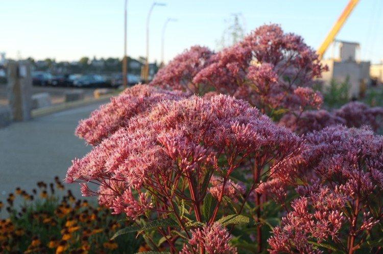 informations générales