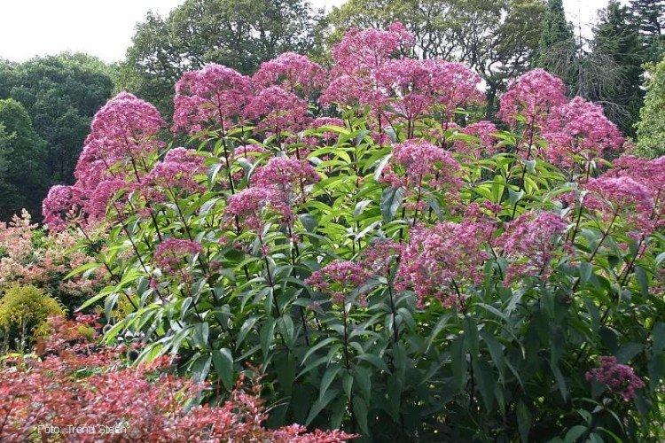 Engrais et alimentation