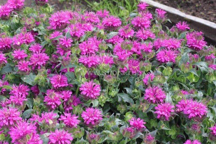 Engrais et alimentation