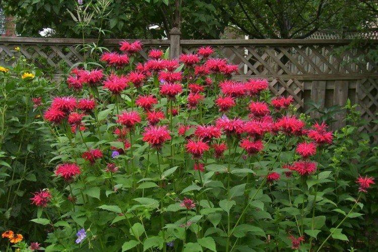 Température et éclairage