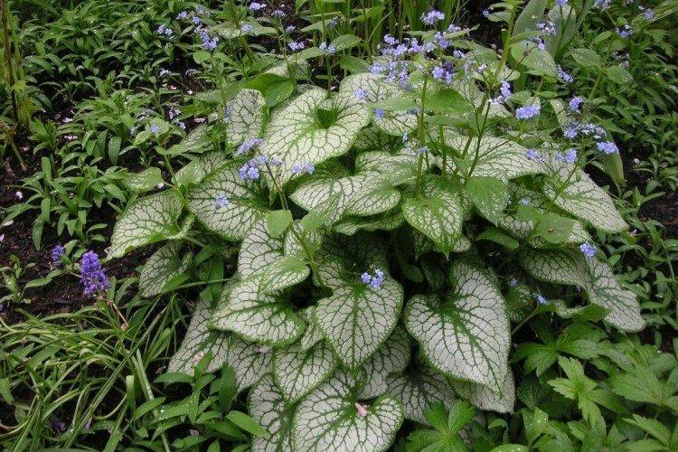 informations générales