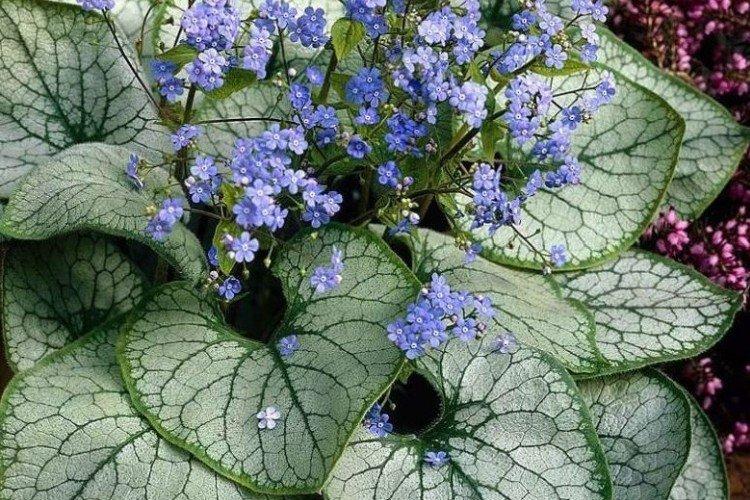 Température et éclairage