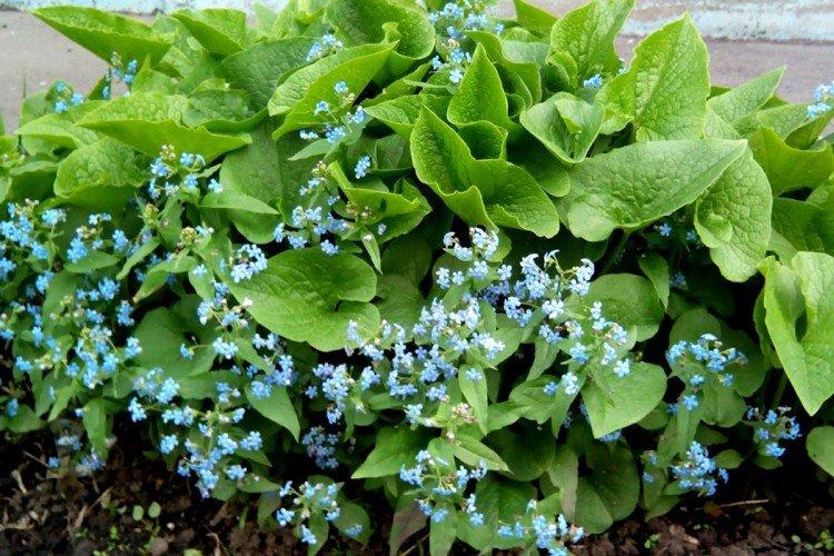 Engrais et alimentation