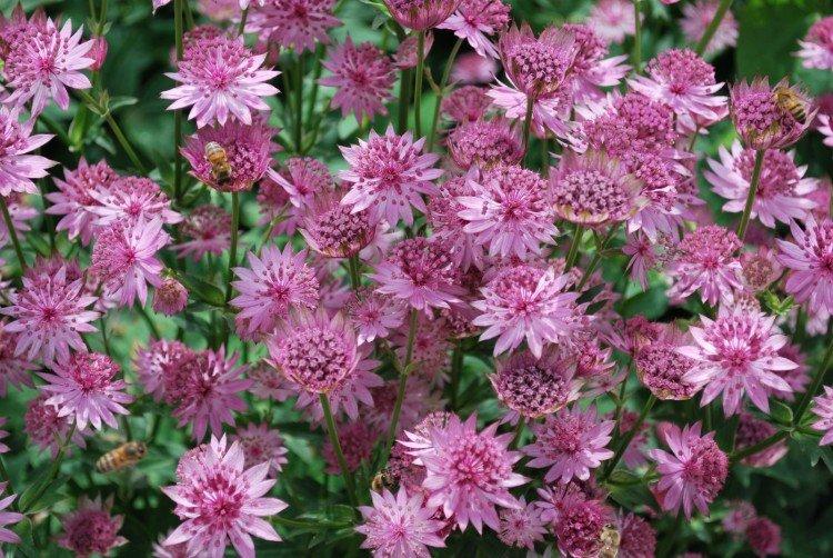 Température et éclairage