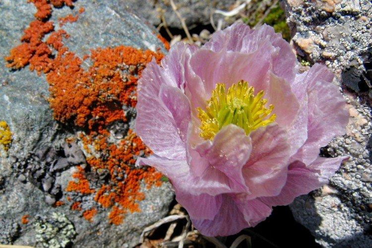 Maillot de bain - photo