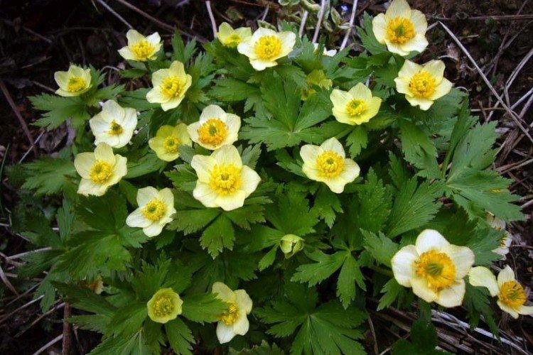 Maillot de bain ample