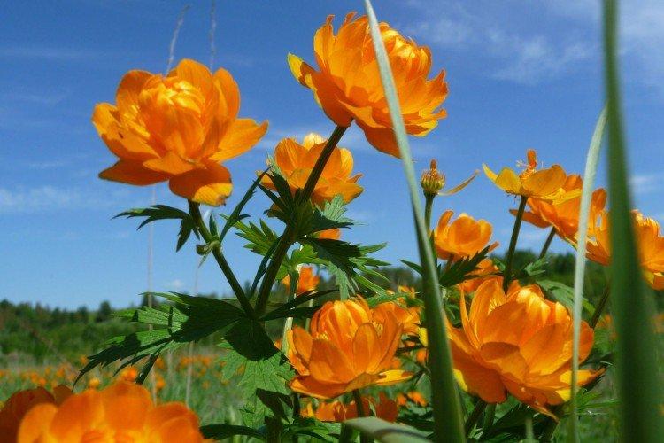 maillot de bain asiatique