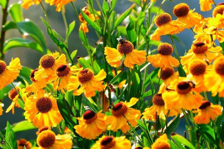 informations générales