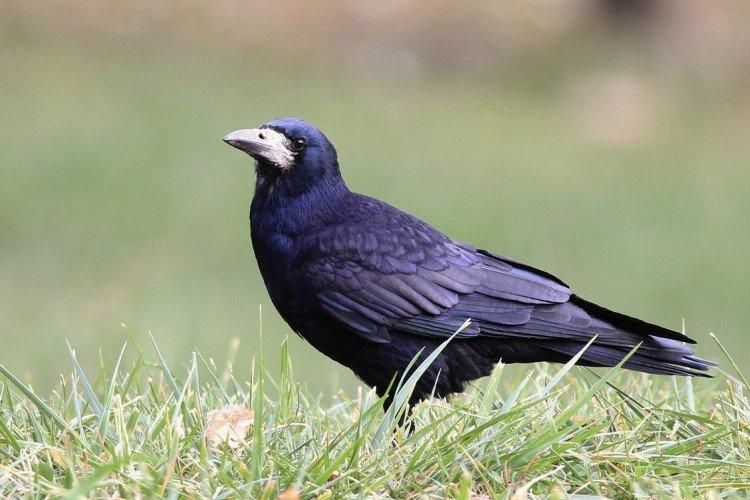 Les avantages des tours