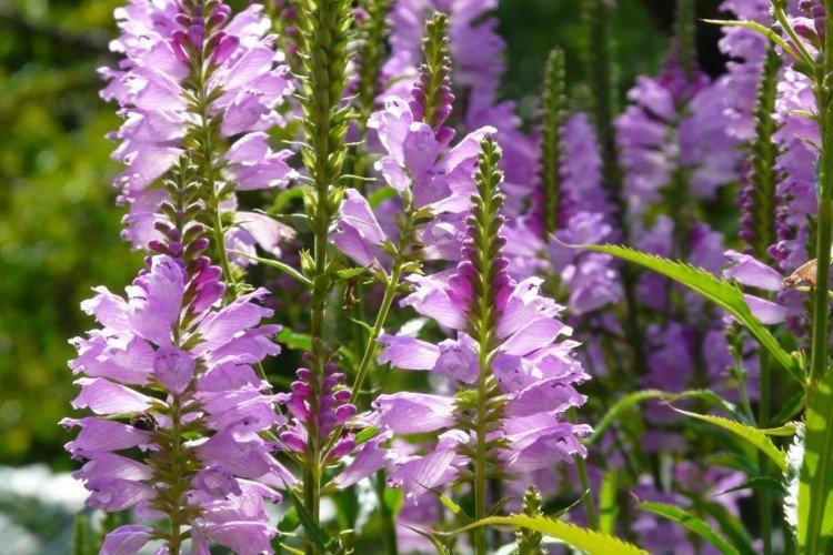 informations générales