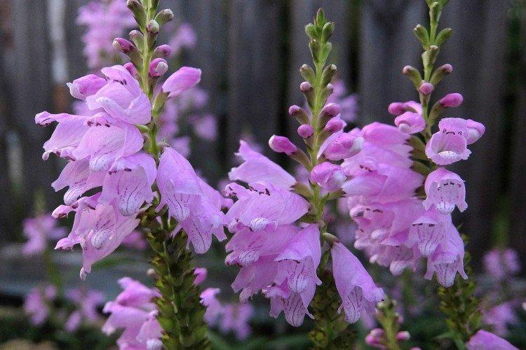 Température et éclairage