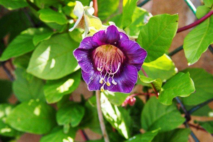 informations générales