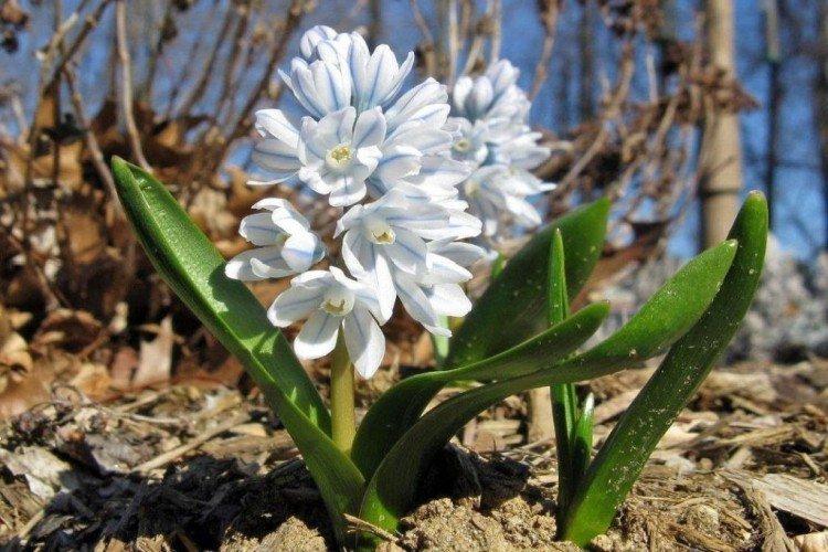 informations générales